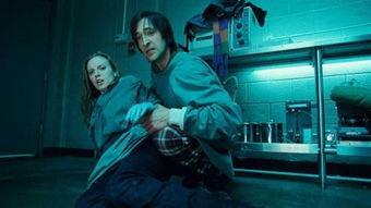 人工进化完整在线观看,探索未来生物进化的奥秘之旅